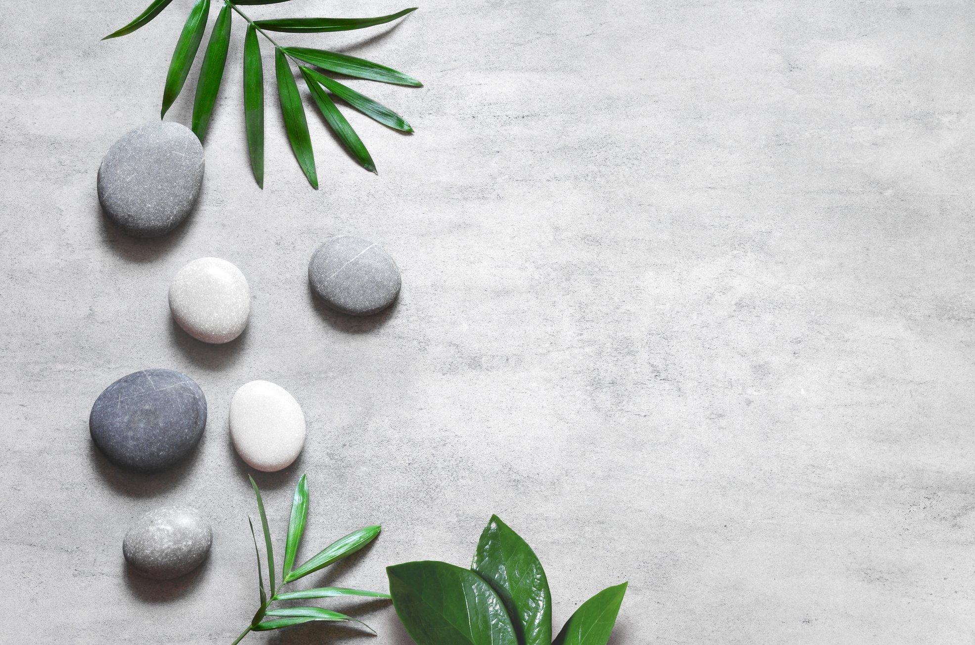 Grey spa background, spa concept, palm leaves and grey stones.